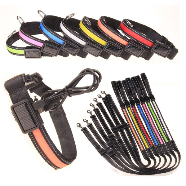 Collar fluorescente y LED para perros.