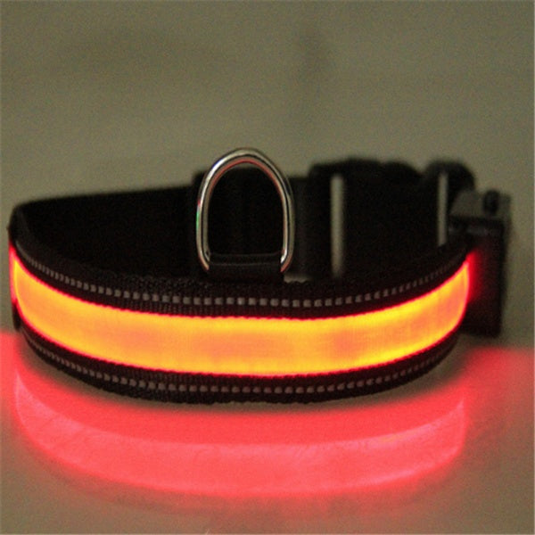 Collar fluorescente y LED para perros.